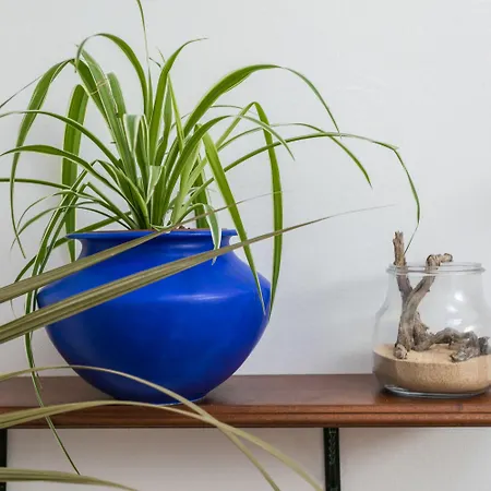 El Jable Lanzarote 4* Teguise (Lanzarote)