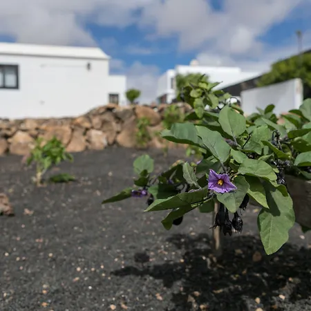 El Jable Lanzarote Nocleg ze śniadaniem 4*