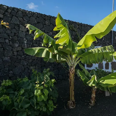 El Jable Lanzarote Oda ve Kahvaltı