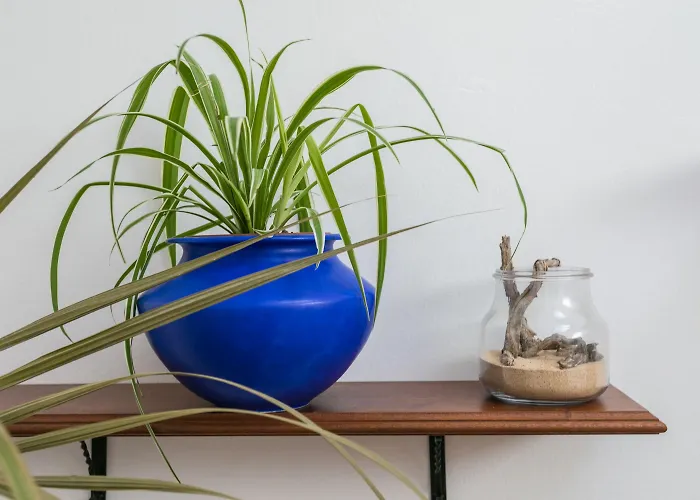 El Jable Lanzarote 4* تيغيسي