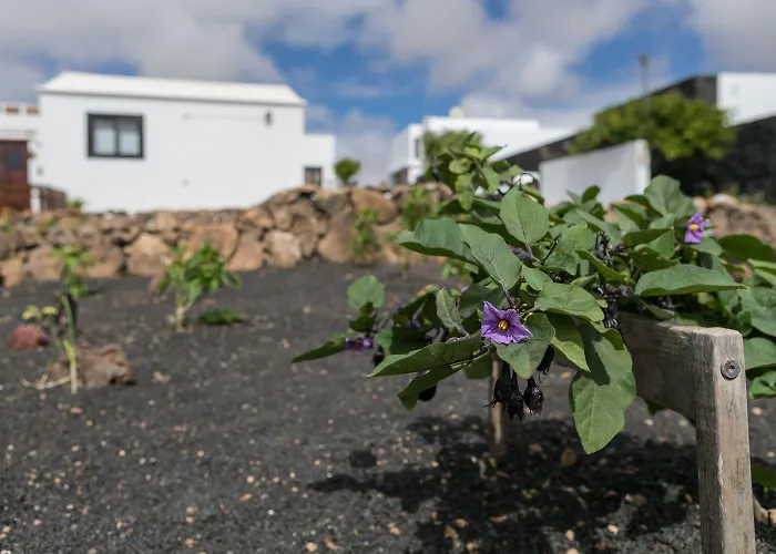 El Jable Lanzarote Oda ve Kahvaltı 4*