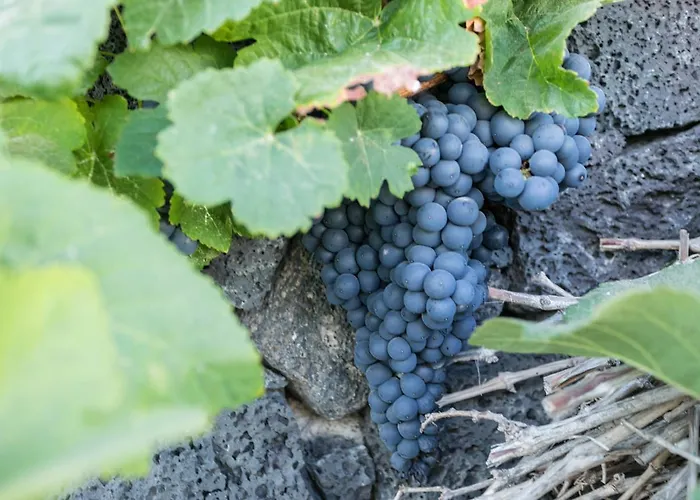 Frühstückspension El Jable Lanzarote 4*